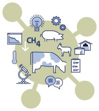 Verlagen van methaanemissie uit vleesvarkensstallen door innovatieve techniek van mestverwijdering en mestbehandeling